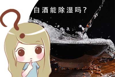 白酒到底能不能除湿？