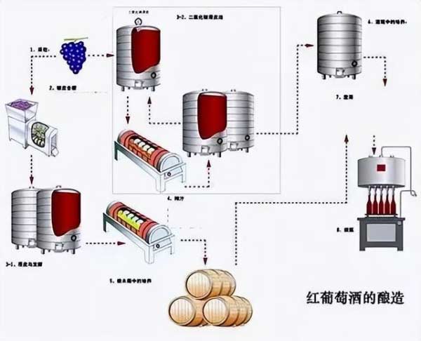 红葡萄酒的酿造过程红葡萄酒酿造基本工艺流程