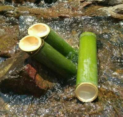 竹筒酒是骗局吗？竹筒酒的诞生特点及口感介绍