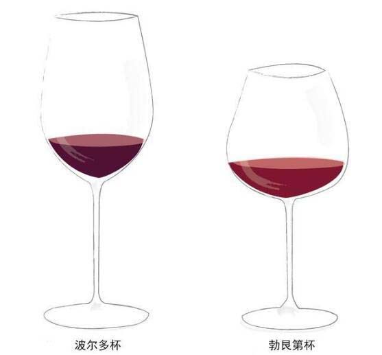 勃艮第杯和波尔多杯对比哪个更通用