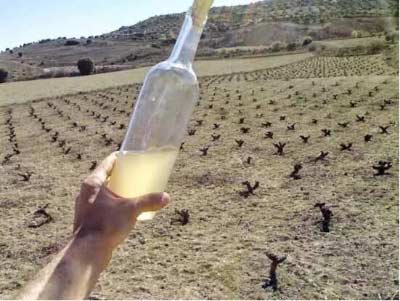 自然酒有什么特点，和葡萄酒的区别1.jpg