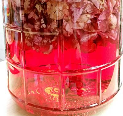 义聚永玫瑰露酒大方玻43度铂金版 价格；玫瑰酒的保质期及制作方法介绍1.jpg