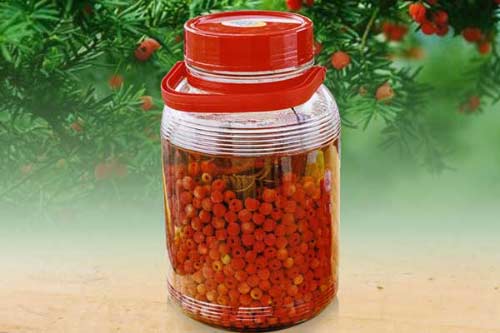 红豆杉泡酒的制作方法