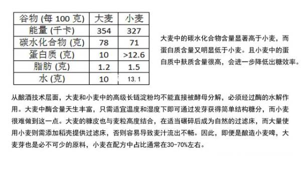 见过啤酒花吗？为什么酿造啤酒用大麦芽？大麦啤酒与小麦啤酒区别6.jpg