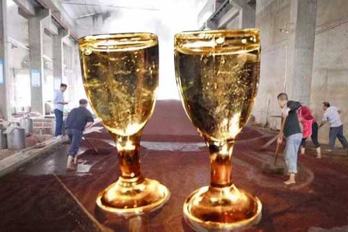 白酒的香味怎么品？白酒的各种香味要怎样才能品出来