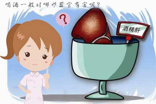 喝酒一般对哪些器官有害？器官受损还能不能喝酒1.jpg