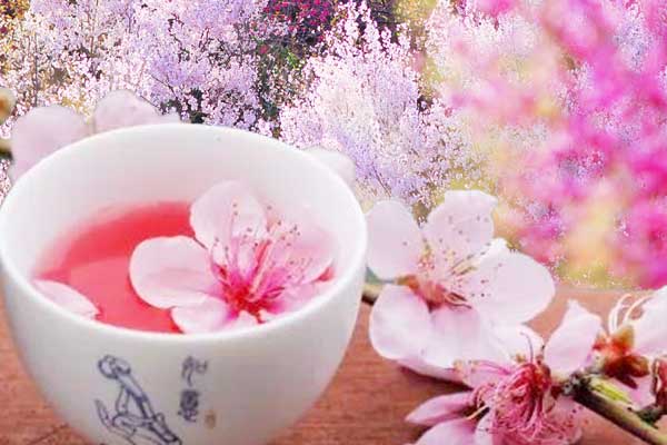以花入酒酿成醉美-简述初次品尝花酒之感1.jpg