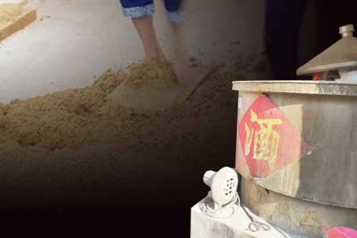 生产酱香酒的关键在于制曲？酱香酒制曲有什么讲究