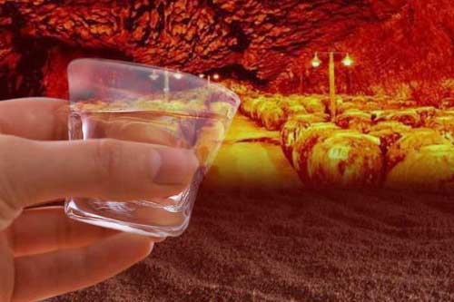 初喝酱香酒要选对口感，刚开始喝酱香酒喝什么口感好1.jpg