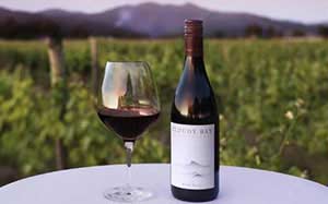 黑皮诺葡萄酒怎么样？酒界新宠，新西兰Pinot Noir3.jpg