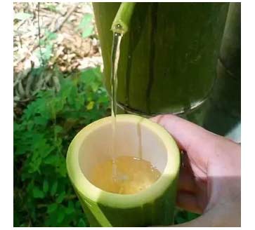 苗寨的竹筒酒介绍1.jpg