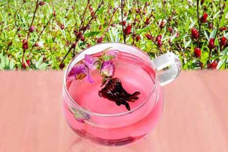 洛神花酒是怎么制作的？1.jpg