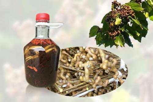 拐枣泡酒怎么泡？拐枣酒制作方法及功效介绍