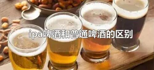 ipa啤酒和普通啤酒的区别