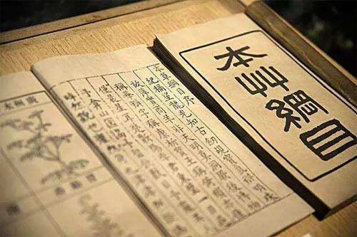 《本草纲目》中酒的造酿文化